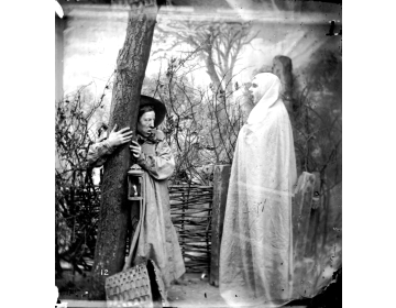 London Stereoscopic Company: Forest Apparition